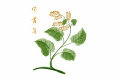 实用的科学教学总结_科学教学总结