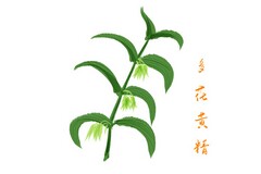 读书分享会活动策划方案详细_读书活动策划方案