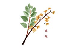 个人二手房交易合同_个人二手房交易合同必须网签吗