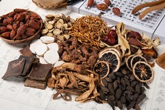 4s店应聘简历_4s店应聘简历怎么写