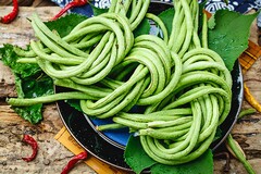 大学生活委员述职报告(大学生活委员述职报告ppt)