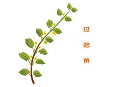托管班安全协议书和安全责任书_托管班安全协议书