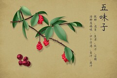 班级小组名称及霸气口号(好听的小组名称和口号)