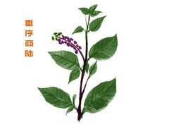 合理用手机的倡议书_合理使用手机的倡议书500字作文
