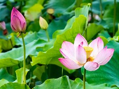 初中生宿舍管理总结_宿舍管理总结
