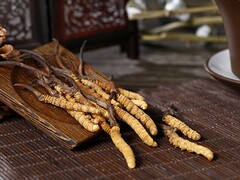 《求特殊情况下两个数的最大公约数和最小公倍数》教案设计(求最大公约数和最小公倍数)