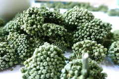 医院在职收入证明(医院职工收入证明图片)