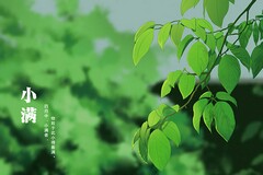 门卫室规章制度(学校门卫室应挂什么规章制度)