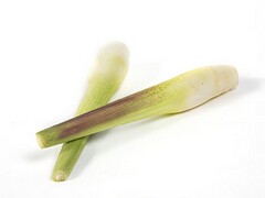 商铺合同纠纷找哪个部门处理