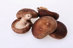二手车辆转让协议和二手买卖合同_最新二手车辆买卖合同
