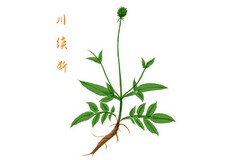 租车劳动合同书(租车劳动合同)