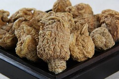 中药学毕业实习自我鉴定_中药学毕业自我鉴定