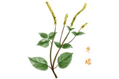 超市员工聘用合同-聘用合同(超市聘用合同范本)