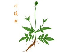 建筑工程施工合同(建筑工程施工合同示范文本)