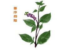 微信线上互动活动策划(微信互动活动策划商品)