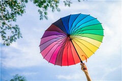 致敬时代英雄议论文_致敬新时代英雄议论文
