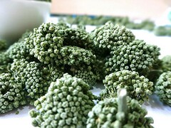 涨价通知_涨价通知图片素材