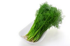 工程合同报告单_工程单合同