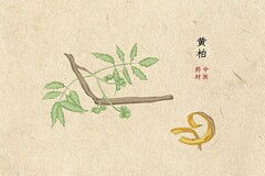 防溺水安全教育主题活动策划方案(防溺水活动策划方案)