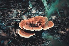 创业策划类书籍_创业实训策划书