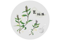 握手礼仪的相关知识_下级跟上级握手礼仪