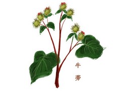 乡村振兴倡议书_2024乡村春节活动倡议书