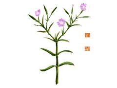 未选择的路教案公开课一等奖2018_《未选择的路》教案
